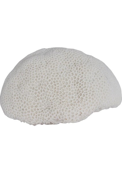 Polyester Deniz Sünger Masa Lambası GLR-15S6022LW fiyatları