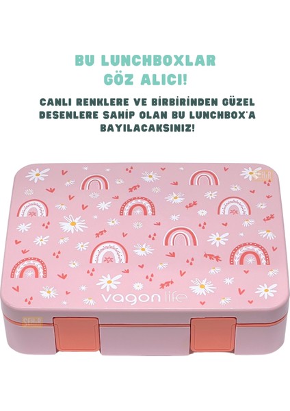 Bento 1300ML Lunchbox Yeni Koleksiyon Tek Katlı 4 Bölmeli Abs Plastik Çocuk Sefer Tası Yemek Kutusu fiyatları