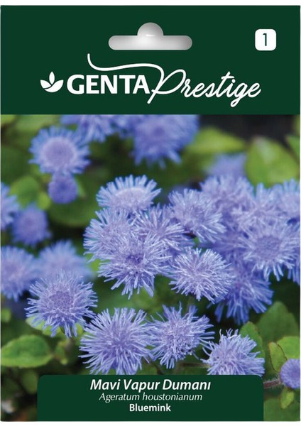 Prestige Mavi Vapur Dumanı Tohumu – Hibrit Ageratum, Yoğun Mavi Top Çiçekli