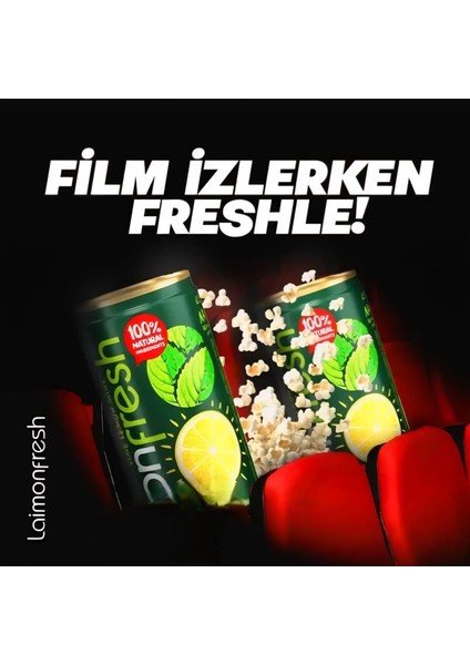 Nane-Limon 330 ml x 24 fiyatları