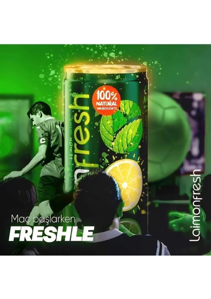 Nane-Limon 330 ml x 24 modelleri