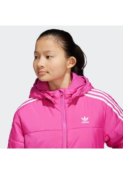 Originals IY7496 Adicolor Jacket Kids fırsatları