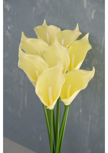 Açık Sarı 8’li Gala Demet fiyatları