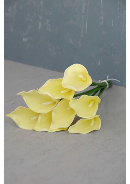 Açık Sarı 8’li Gala Demet fırsatları