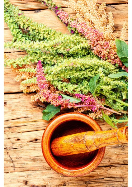 Amarant Co2 Ekstraktı fiyatları