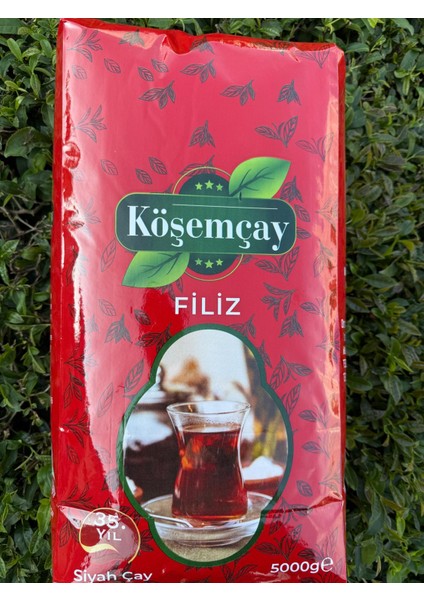Filiz 5000 gr fırsatları