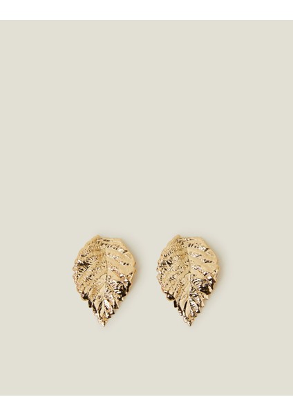 Yaprak Küpe fiyatları