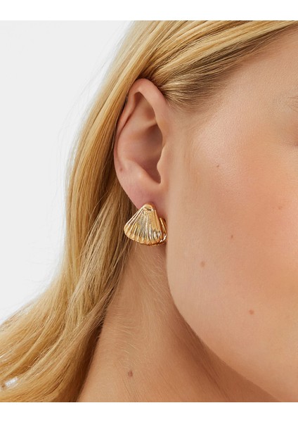 Deniz Kabuğu Küpe modelleri