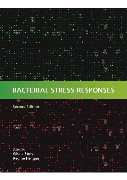 Bacterial Stress Responses