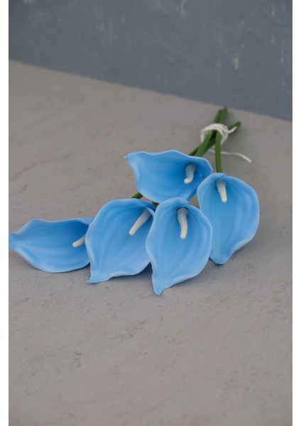 Bebe Mavi 5’li Gala Demet fiyatları