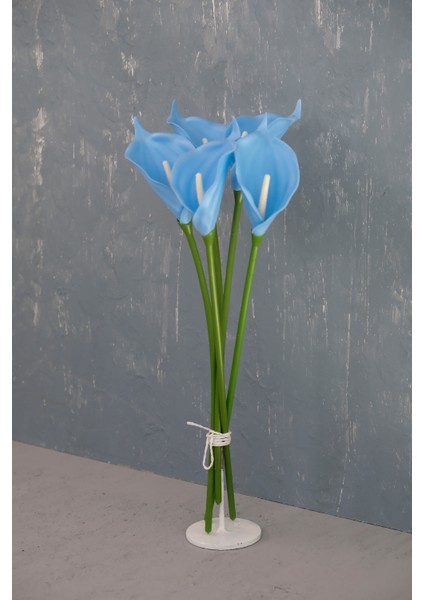 Bebe Mavi 5’li Gala Demet modelleri