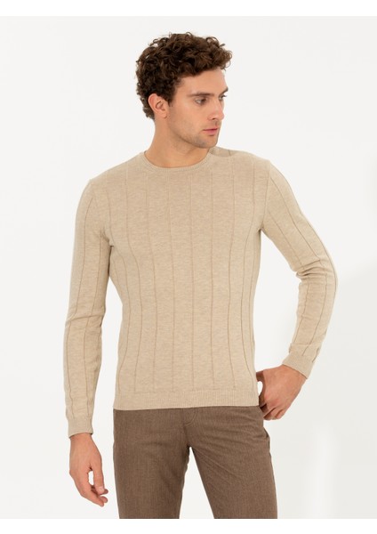 Erkek Ekru Regular Fit Pamuk Karışımlı Bisiklet Yaka Triko Kazak 50257389-VR019 modelleri