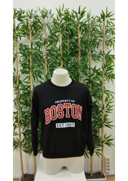 Erkek Uzun Kollu Bisiklet Yaka Boston Yazılı Iki Iplik Bluz fırsatları