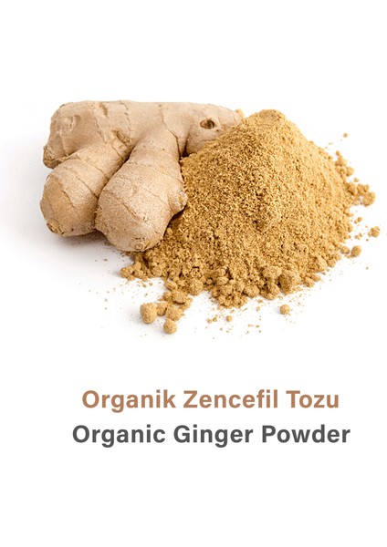 Zencefil Tozu | 85 gr fırsatları