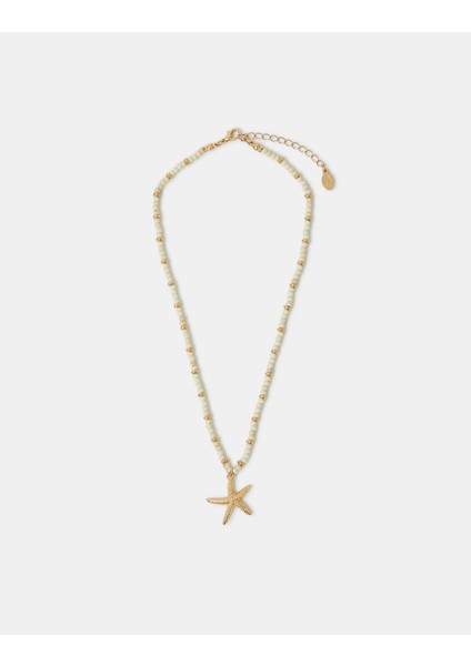 Deniz Yıldızı Kolye fiyatları