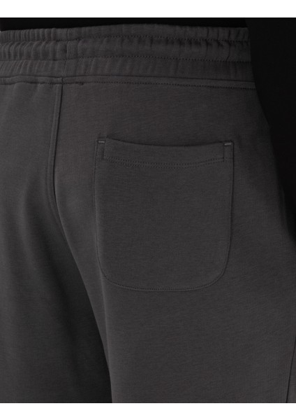 Erkek Antrasit Slim Fit 3 Iplik Düz Paça Eşofman Altı 50317670-VR006