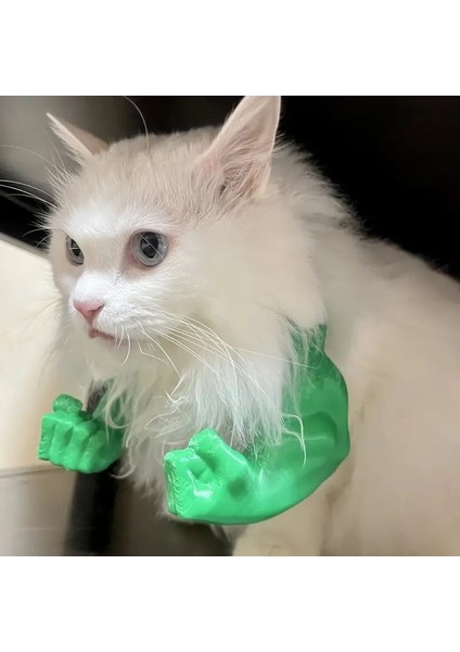 Kaslı Kedi Figür Oyuncak