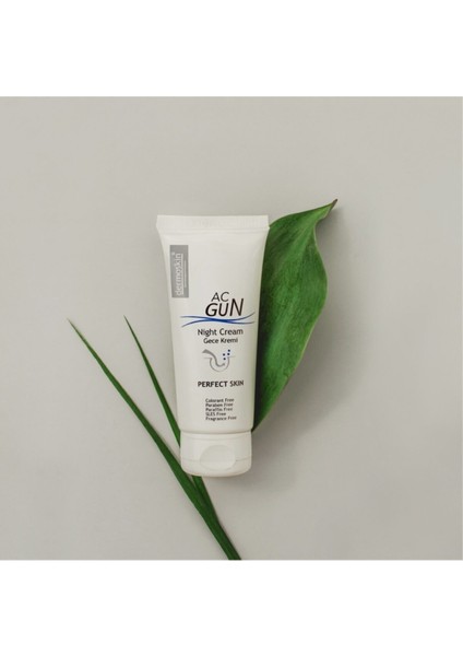 Acgun Sivilce ve Akneli Ciltler Için Onarıcı Gece Kremi 30 ml