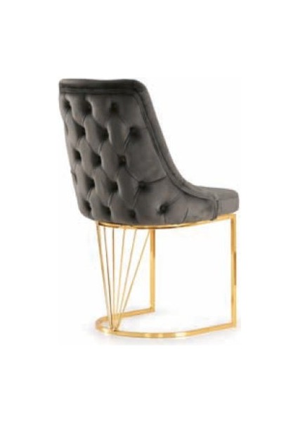 Bera Lüks Ayak Athena Sandalye fiyatları