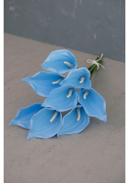 Bebe Mavi 8’li Gala Demet