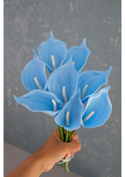 Bebe Mavi 8’li Gala Demet fiyatları