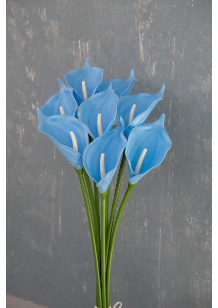 Bebe Mavi 8’li Gala Demet modelleri