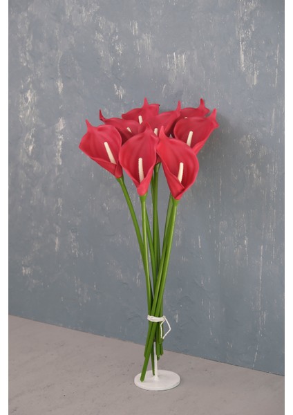 Kırmızı 8’li Gala Demet fırsatları