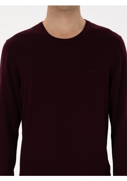 Erkek Açık Bordo Slim Fit Yün Karışımlı Bisiklet Yaka Basic Triko Kazak 50315266-VR263