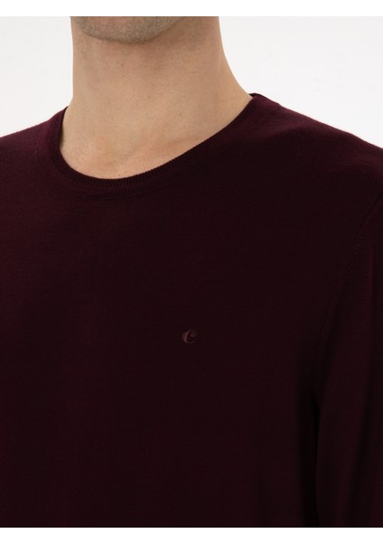 Erkek Açık Bordo Slim Fit Yün Karışımlı Bisiklet Yaka Basic Triko Kazak 50315266-VR263