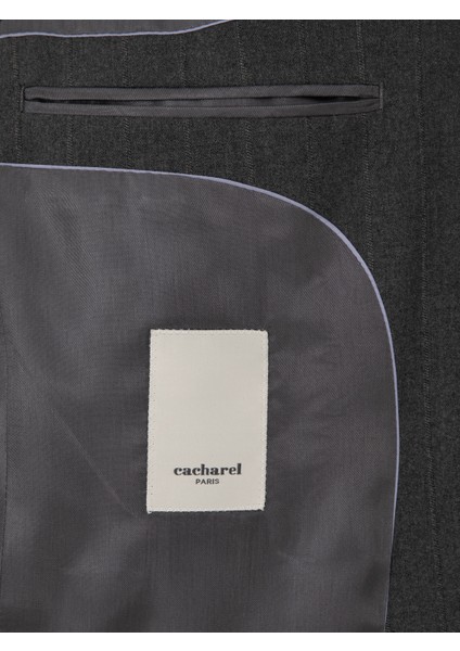 Erkek Füme Slim Fit Çizgili Mono Yaka Yün Karışımlı Takım Elbise 50316335-VR058