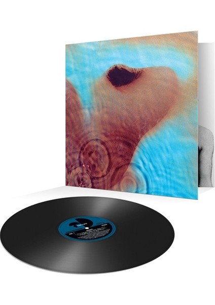 Pınk Floyd - Meddle (2016 Versıon) - Plak