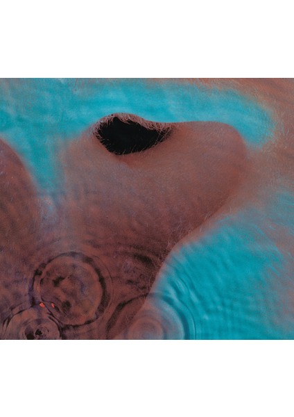 Pınk Floyd - Meddle (2016 Versıon) - Plak fiyatları