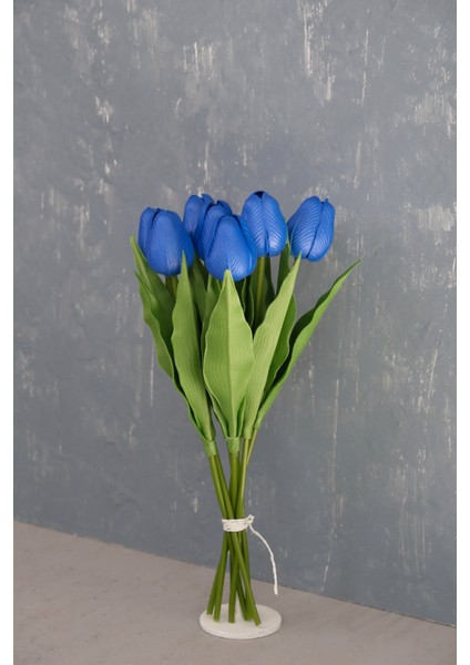 Lacivert 8’li Lale Demet fırsatları