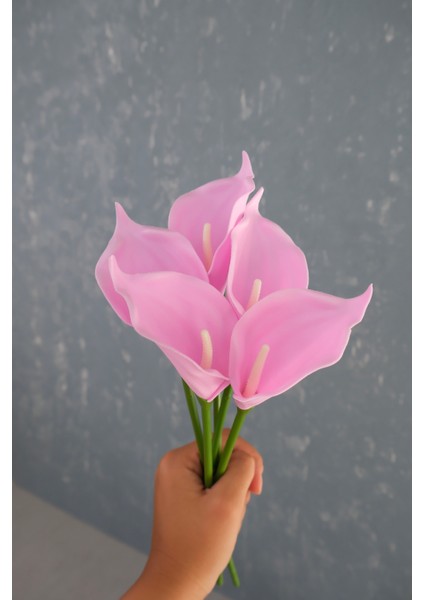 Pembe 5’li Gala Demet