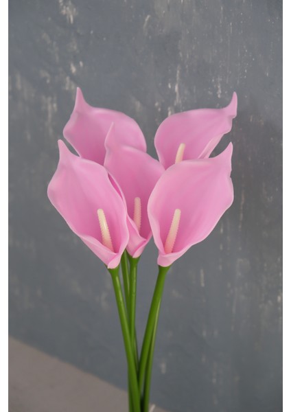 Pembe 5’li Gala Demet fiyatları