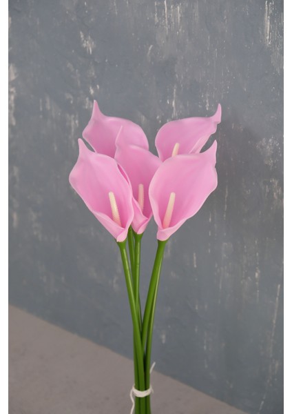 Pembe 5’li Gala Demet fırsatları