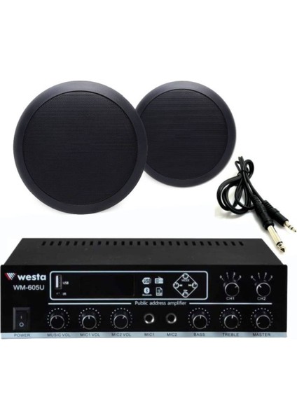 2’li Siyah Tavan Hoparlör Ses Sistemi Paketi – Mağaza & Ofis Müzik Çözümü