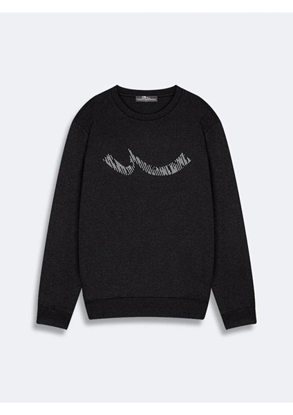 Nikewa Erkek Sweat fiyatları