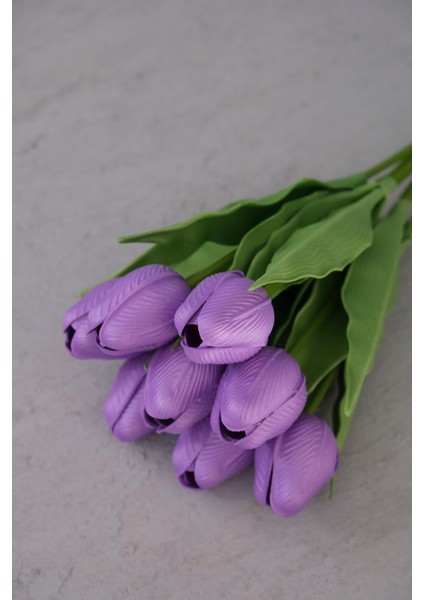 Mor 8’li Lale Demet fırsatları