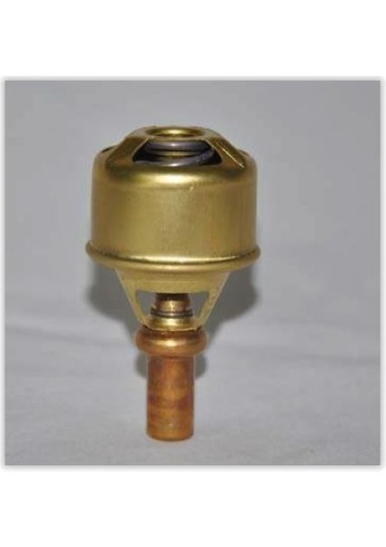 860003 - Termostat 86C R9