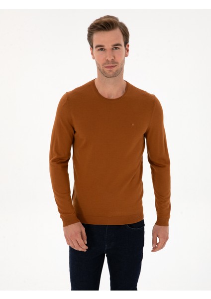 Erkek Karamel Slim Fit Yün Karışımlı Bisiklet Yaka Basic Triko Kazak 50315266-VR261