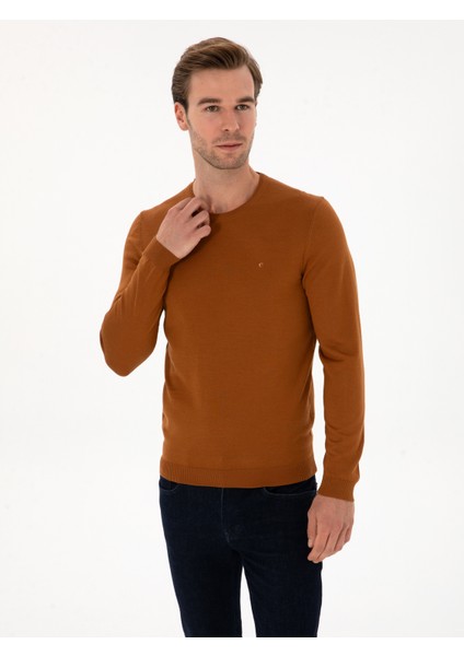 Erkek Karamel Slim Fit Yün Karışımlı Bisiklet Yaka Basic Triko Kazak 50315266-VR261 modelleri