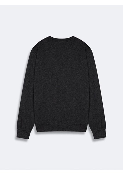 Lodita New Erkek Sweat fiyatları