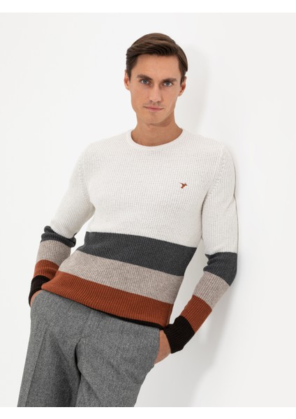 Erkek Bej Slim Fit Yün Karışımlı Bisiklet Yaka Triko Kazak 50258841-VR011