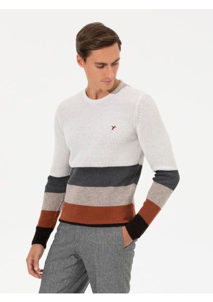 Erkek Bej Slim Fit Yün Karışımlı Bisiklet Yaka Triko Kazak 50258841-VR011 fırsatları