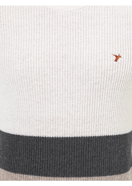 Erkek Bej Slim Fit Yün Karışımlı Bisiklet Yaka Triko Kazak 50258841-VR011