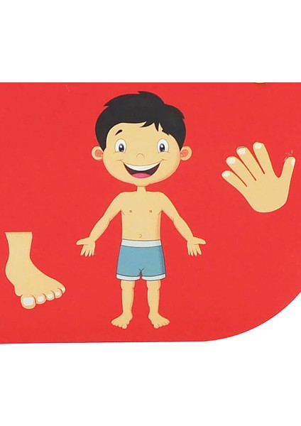 Net Minik Kitaplarım fiyatları