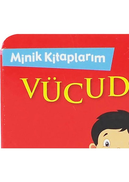 Net Minik Kitaplarım modelleri