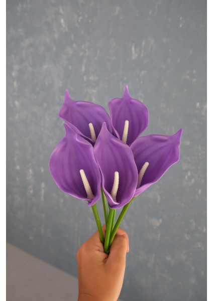 Mor 5’li Gala Demet