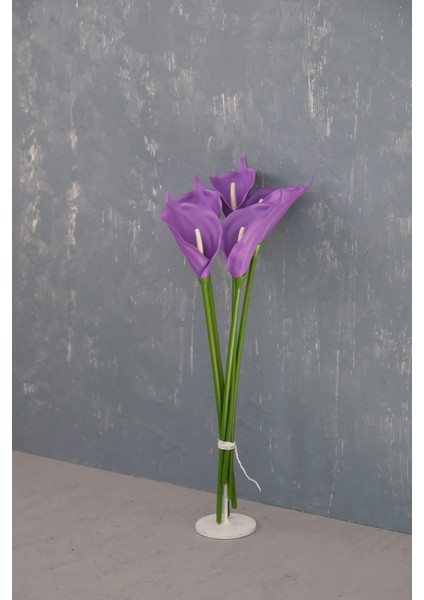 Mor 5’li Gala Demet fiyatları